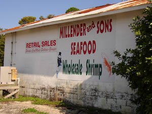 seafoodforsale.jpg