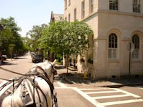 charleston-21.jpg