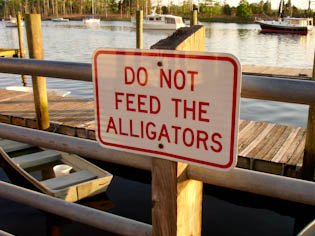 donotfeedalligatorssign-1.jpg