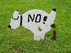 nodogpoopingsign-3.jpg